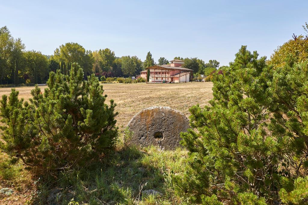 Agriturismo Il Molino Antico - 5 Girasoli 斯波莱托 外观 照片